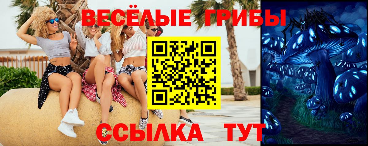 Галлюциногенные грибы Psilocybe  Вход с VPN  Реж 